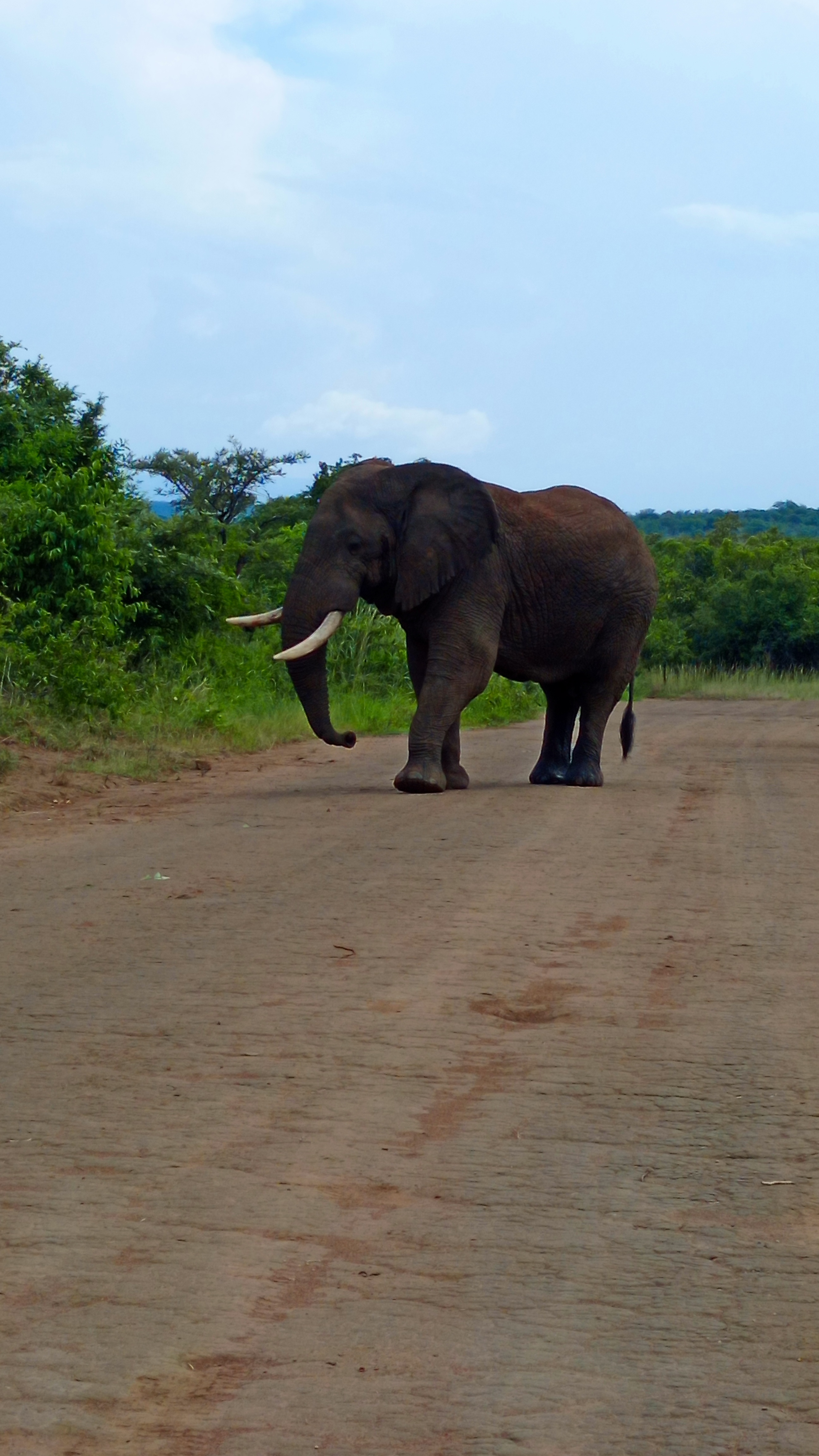 Kenya