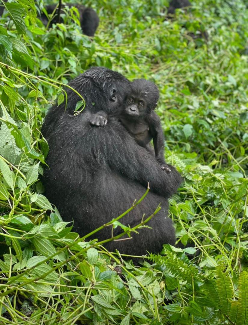 Rwanda